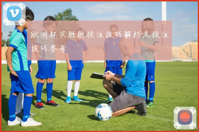 欧洲杯买胜胜投注技巧解析及投注技巧参考