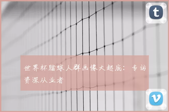 世界杯赌球人群画像大起底：专访资深从业者