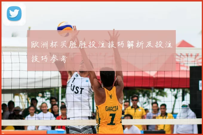 欧洲杯买胜胜投注技巧解析及投注技巧参考