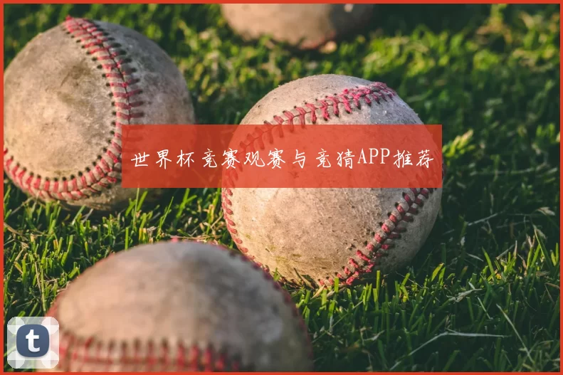 世界杯竞赛观赛与竞猜APP推荐