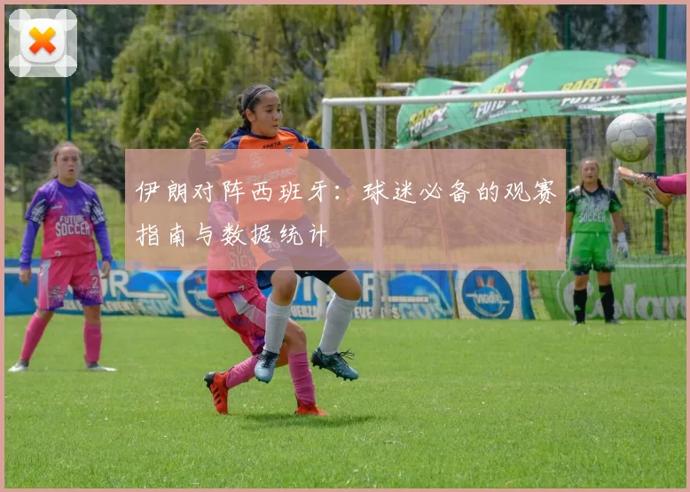 伊朗对阵西班牙：球迷必备的观赛指南与数据统计