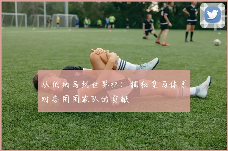 从伯纳乌到世界杯：揭秘皇马体系对各国国家队的贡献